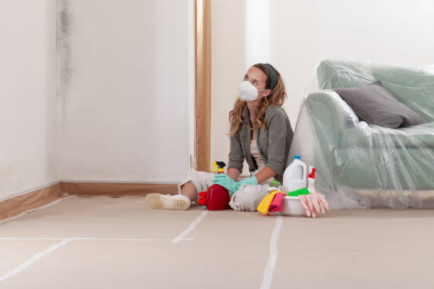 Reliable Mold Remediation contractor in Springfield, NJ by Mold Remediation HQ
